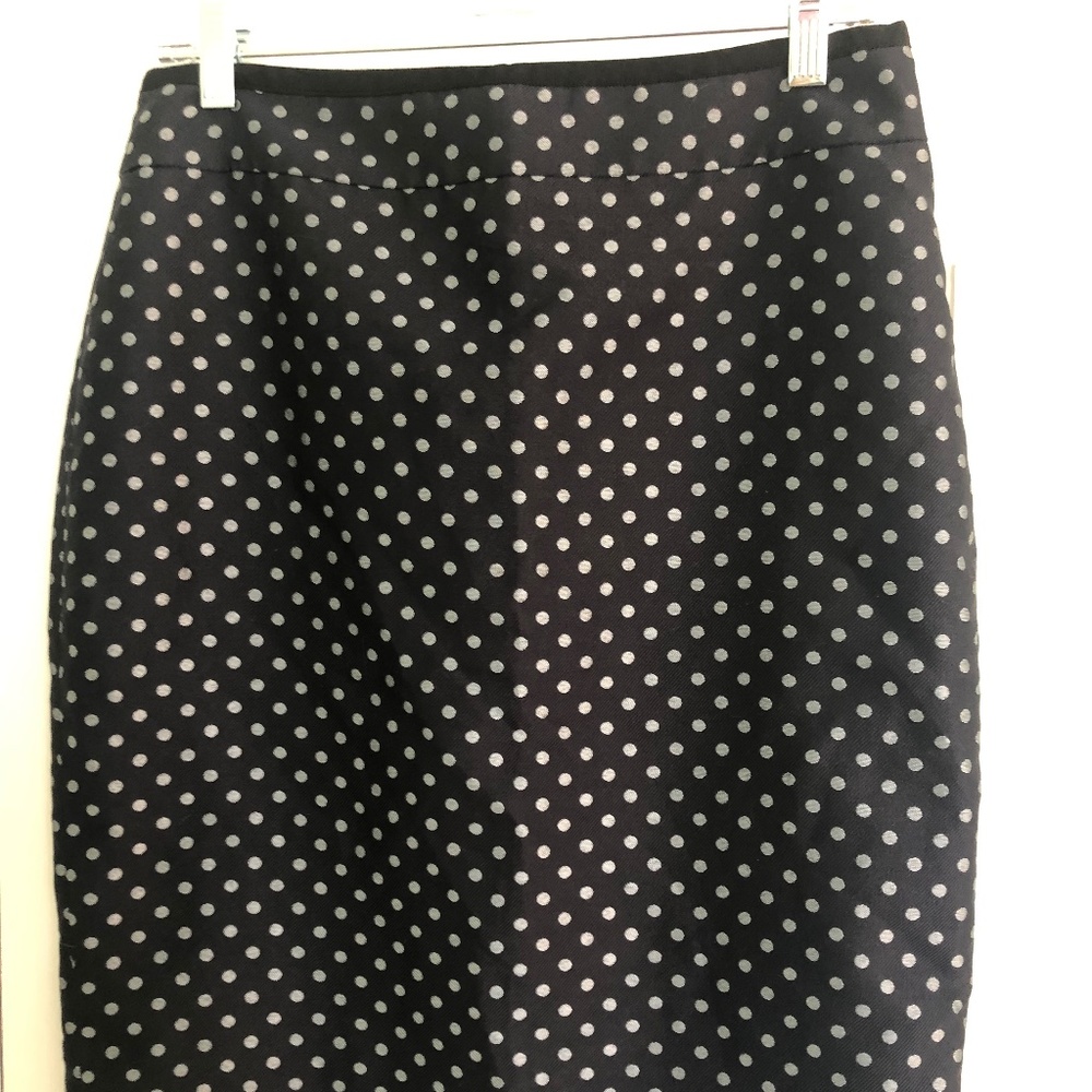 Ann Taylor polka dot skirt